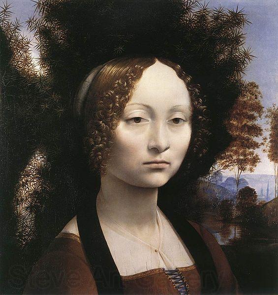 Leonardo  Da Vinci Portrait of Ginevra de' Benci Norge oil painting art